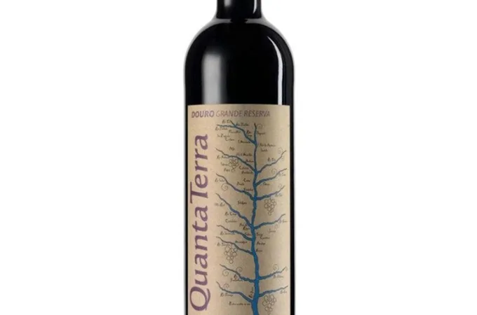 Quanta Terra Grande Reserva 1,5Lt.